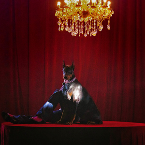 国产美女1级毛片。
