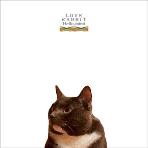 国产美女1级毛片。
